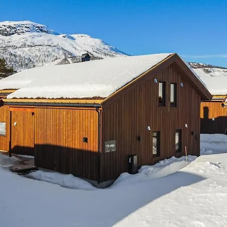 New Cozy Mountain At Hovden Ski-in Ski-out Chalet Bykle