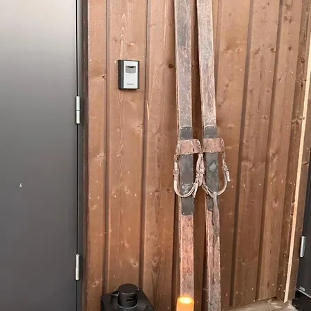 New Cozy Mountain At Hovden Ski-in Ski-out Chalet Bykle