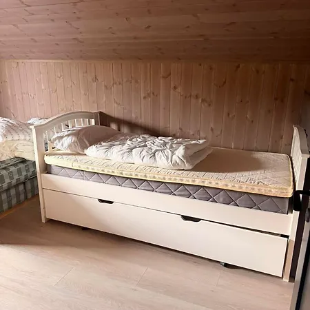 New Cozy Mountain At Hovden Ski-in Ski-out